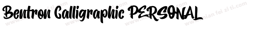 Bentron Calligraphic PERSONAL Regul字体转换